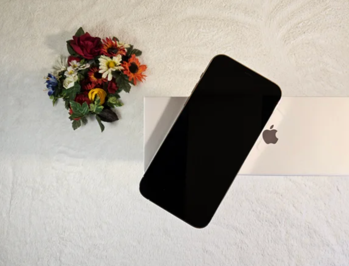 iPhone 12 Pro