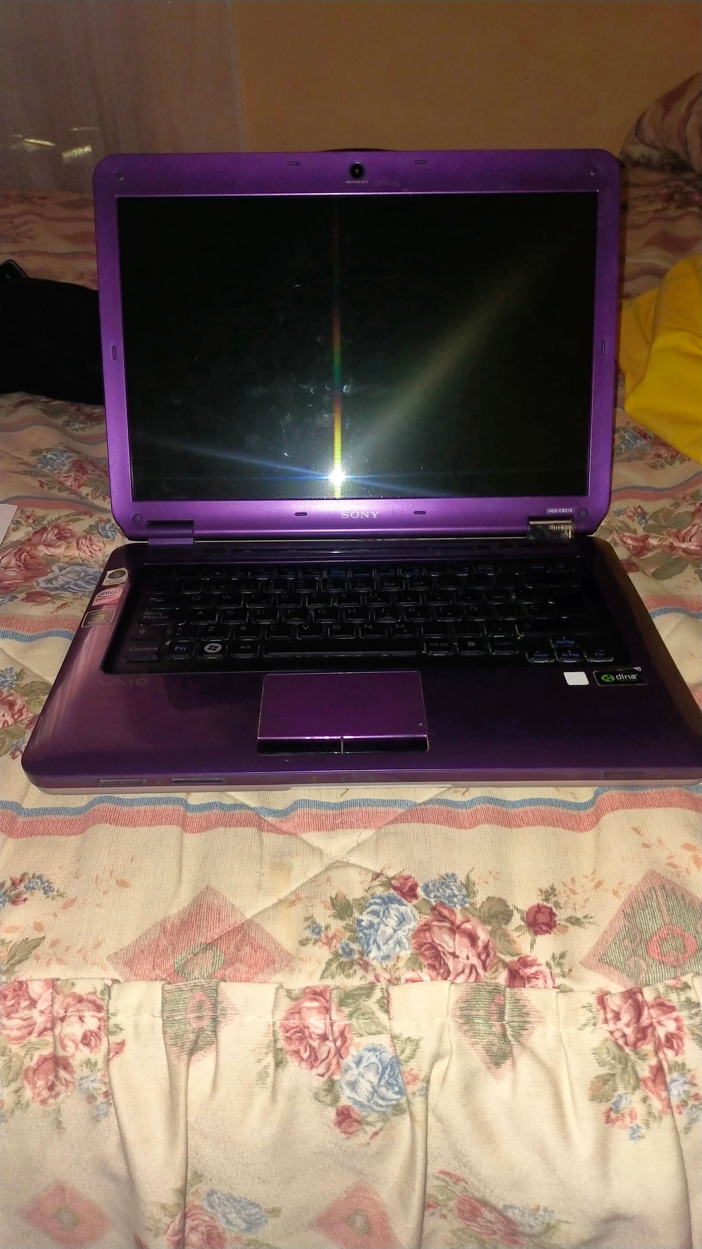 Sony Vaio